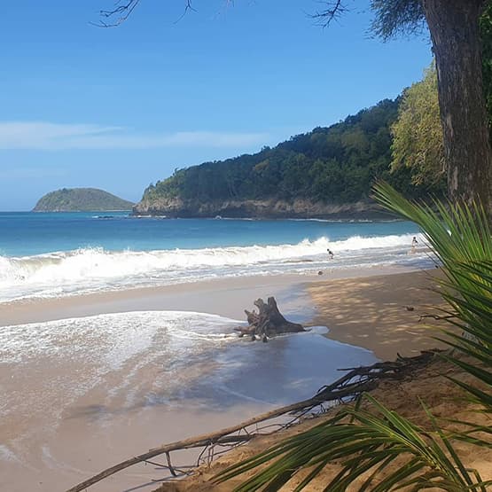 Transfert en taxi entre les hôtels et les plages de Guadeloupe